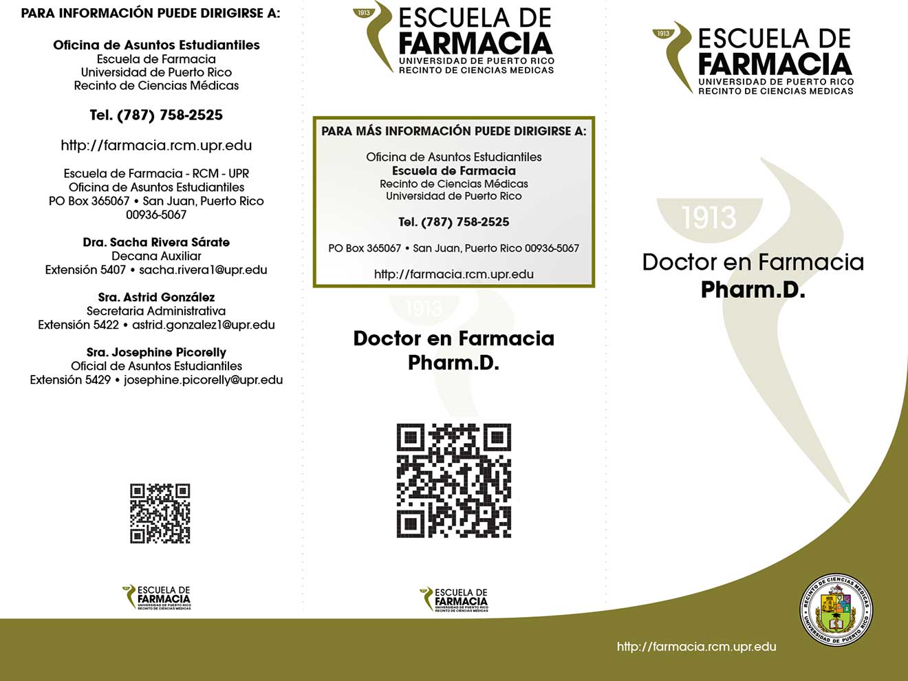 Brochure Doctorado